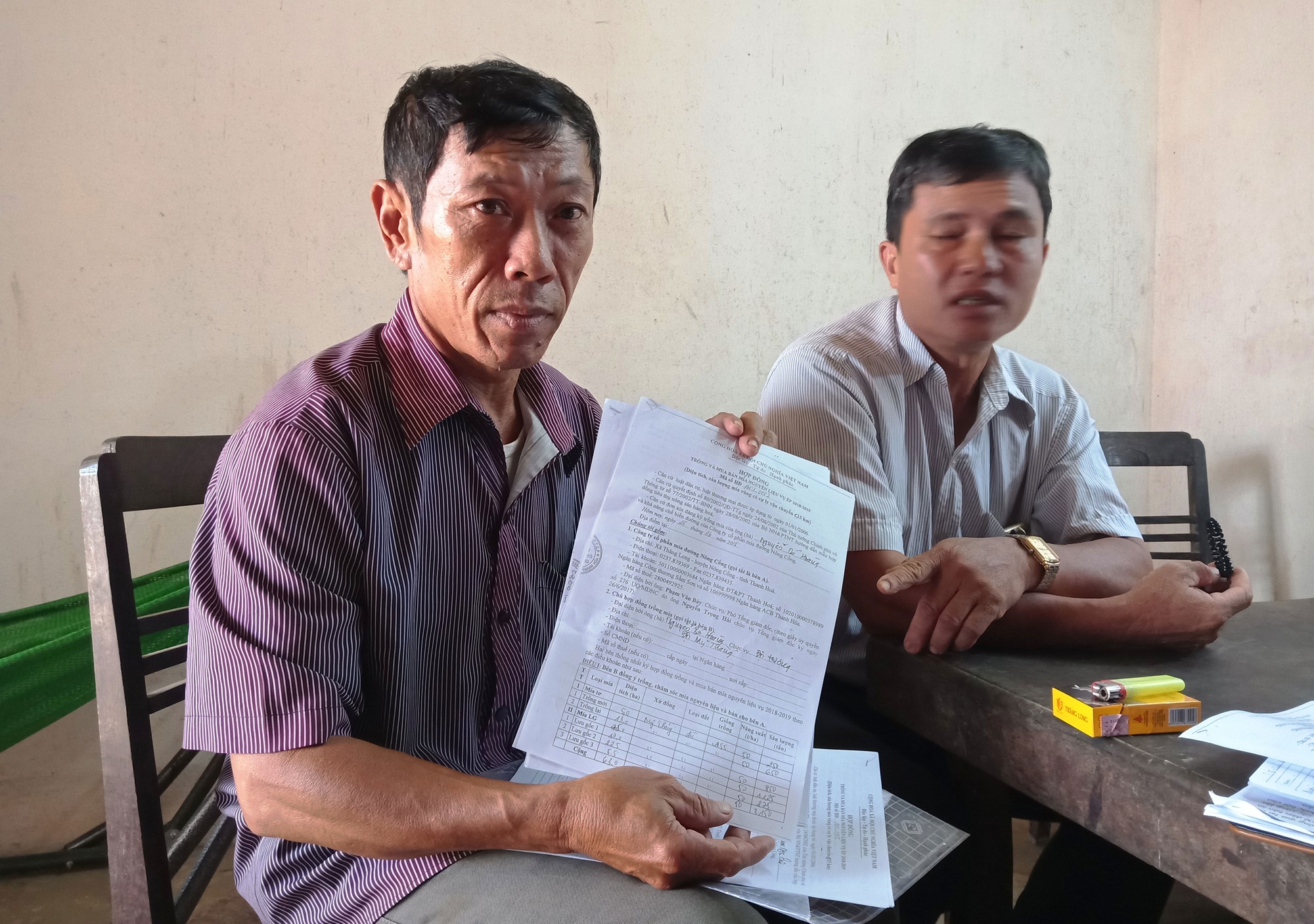 Bị nợ tiền mía, nông dân khóc ròng