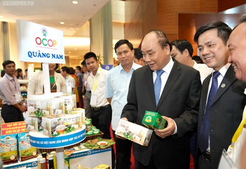 Hỗ trợ thúc đẩy phát triển hợp tác xã