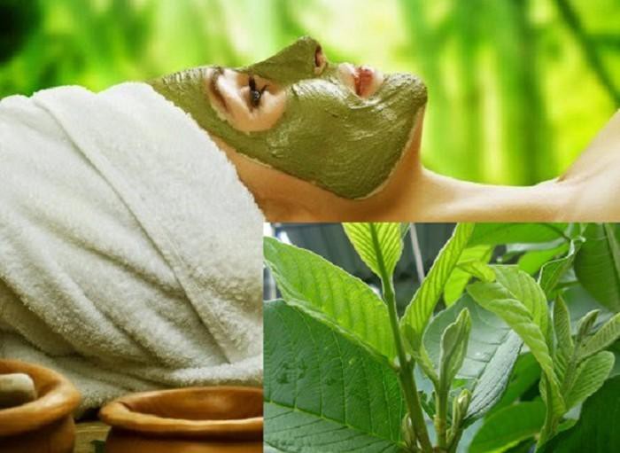 Chăm sóc và làm đẹp da với lá cây - Ảnh 2.