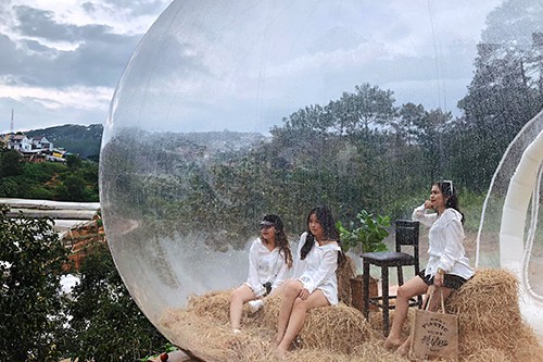 Hai điểm sống ảo mới nổi ở Đà Lạt - Ảnh 2.