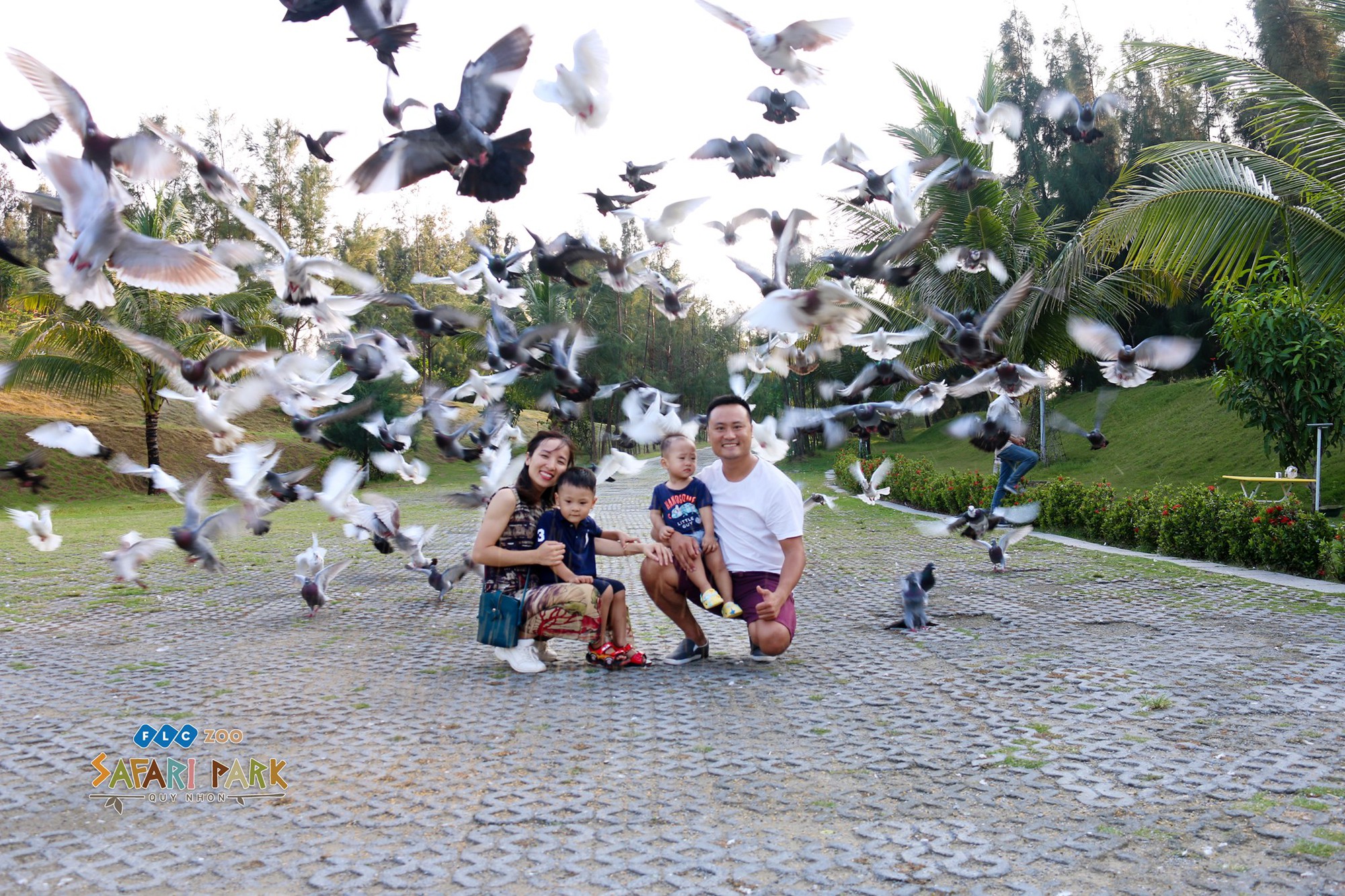 Kh&aacute;m ph&aacute; FLC Zoo Safari Park &ndash; vườn th&uacute; độc đ&aacute;o tại Quy Nhơn - Ảnh 1.