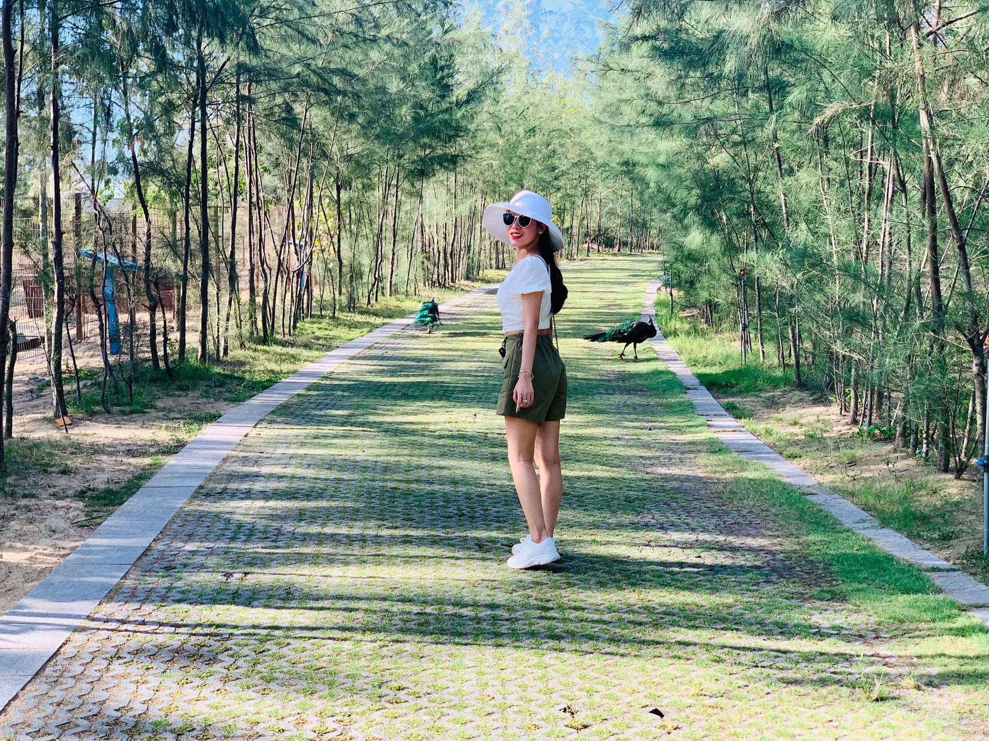 Kh&aacute;m ph&aacute; FLC Zoo Safari Park &ndash; vườn th&uacute; độc đ&aacute;o tại Quy Nhơn - Ảnh 10.