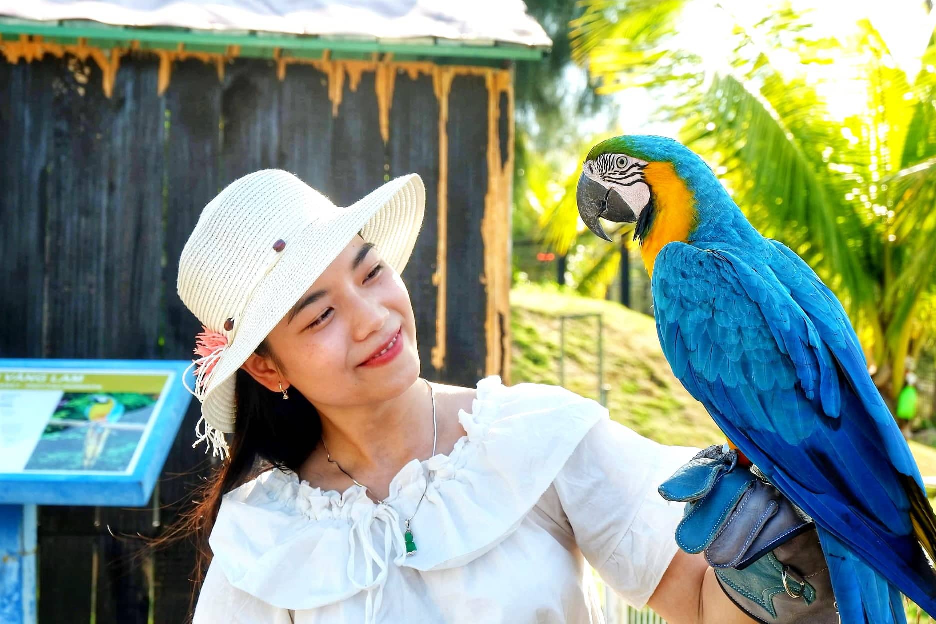 Kh&aacute;m ph&aacute; FLC Zoo Safari Park &ndash; vườn th&uacute; độc đ&aacute;o tại Quy Nhơn - Ảnh 11.
