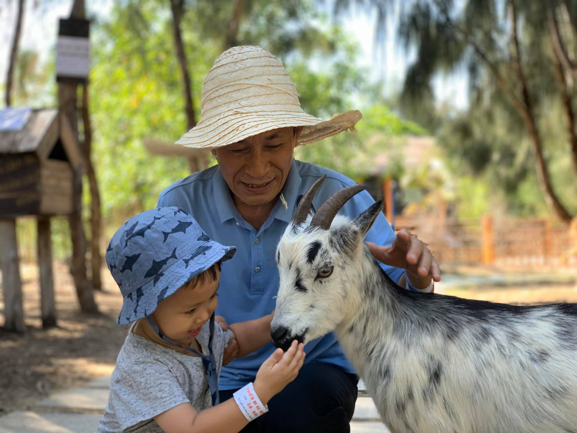 Kh&aacute;m ph&aacute; FLC Zoo Safari Park &ndash; vườn th&uacute; độc đ&aacute;o tại Quy Nhơn - Ảnh 2.