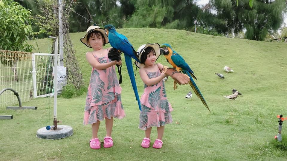 Kh&aacute;m ph&aacute; FLC Zoo Safari Park &ndash; vườn th&uacute; độc đ&aacute;o tại Quy Nhơn - Ảnh 3.