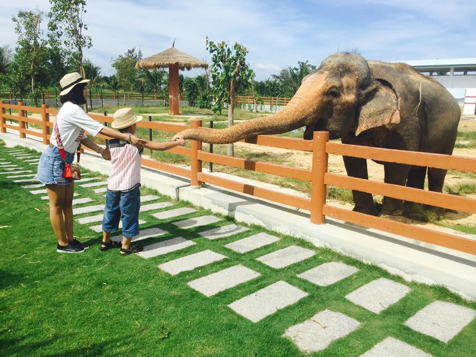Kh&aacute;m ph&aacute; FLC Zoo Safari Park &ndash; vườn th&uacute; độc đ&aacute;o tại Quy Nhơn - Ảnh 4.