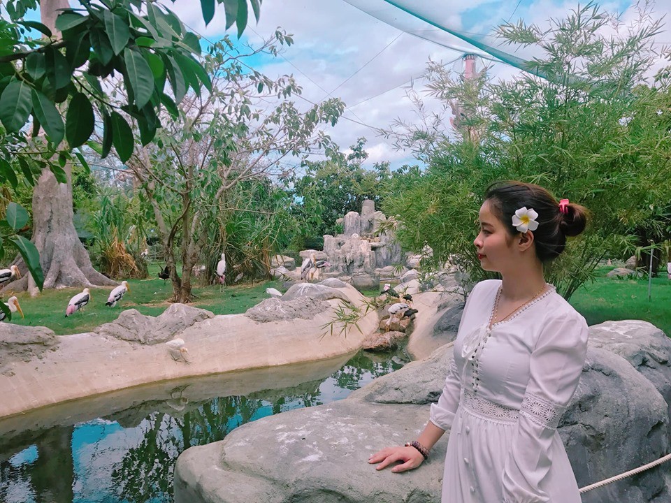 Kh&aacute;m ph&aacute; FLC Zoo Safari Park &ndash; vườn th&uacute; độc đ&aacute;o tại Quy Nhơn - Ảnh 8.