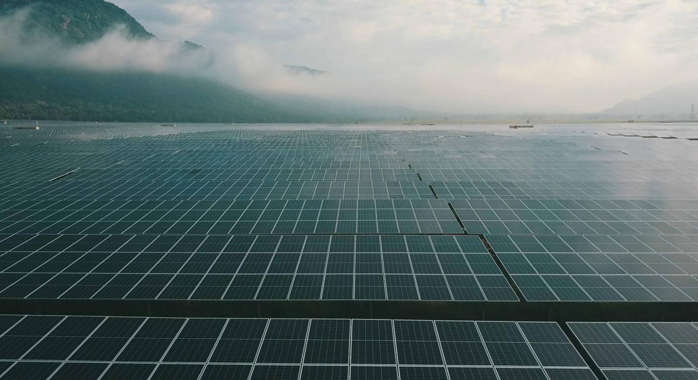 Tập đoàn Sao Mai và những giá trị cốt lõi - Ảnh 3.
