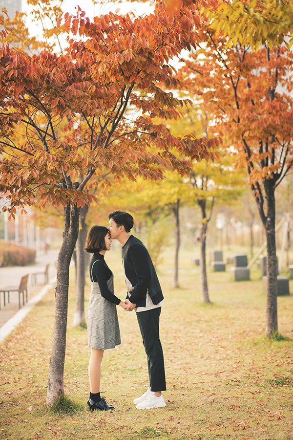 6 lý do để ít nhất một lần đón mùa thu ở Hàn Quốc - Ảnh 3.