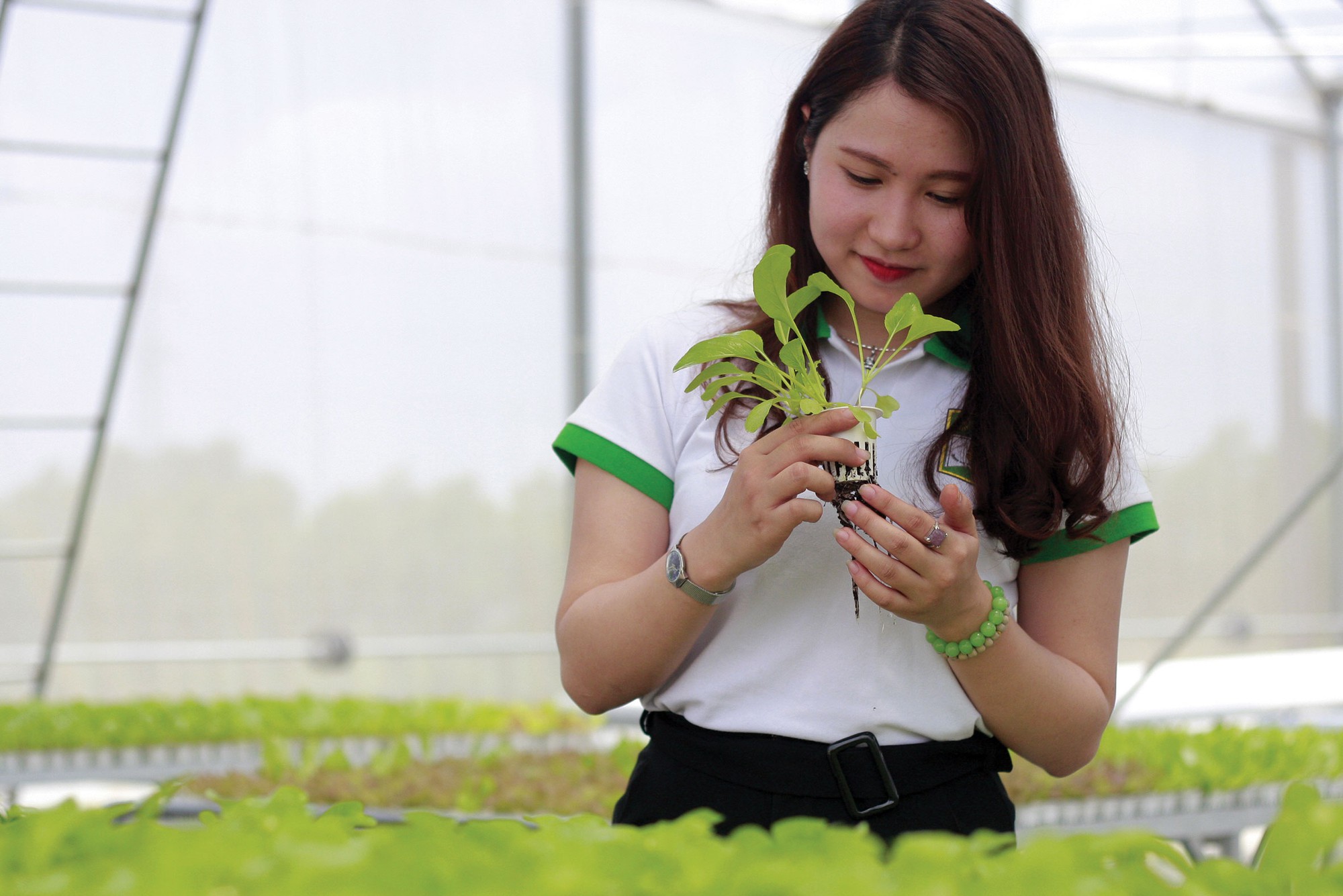 Hơn 2,3 triệu lao động nông thôn được học nghề