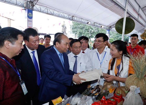Thành tựu 10 năm xây dựng nông thôn mới - Ảnh 1.