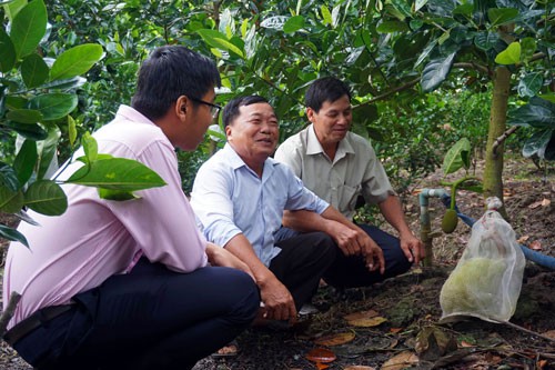 Cần Thơ: Nhiều mô hình đào tạo nghề hiệu quả