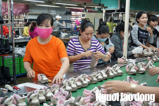 Tăng tuổi nghỉ hưu: Già néo thì đứt dây