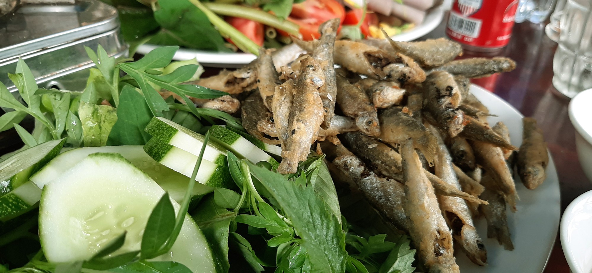 Một ng&agrave;y ở rừng tr&agrave;m Tr&agrave; Sư m&ugrave;a nước nổi - Ảnh 6.