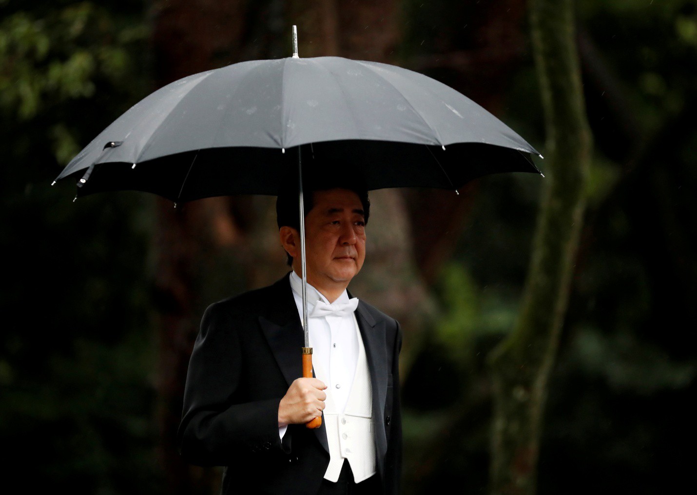 Nhật hoàng Naruhito chính thức lên ngôi - Ảnh 3.
