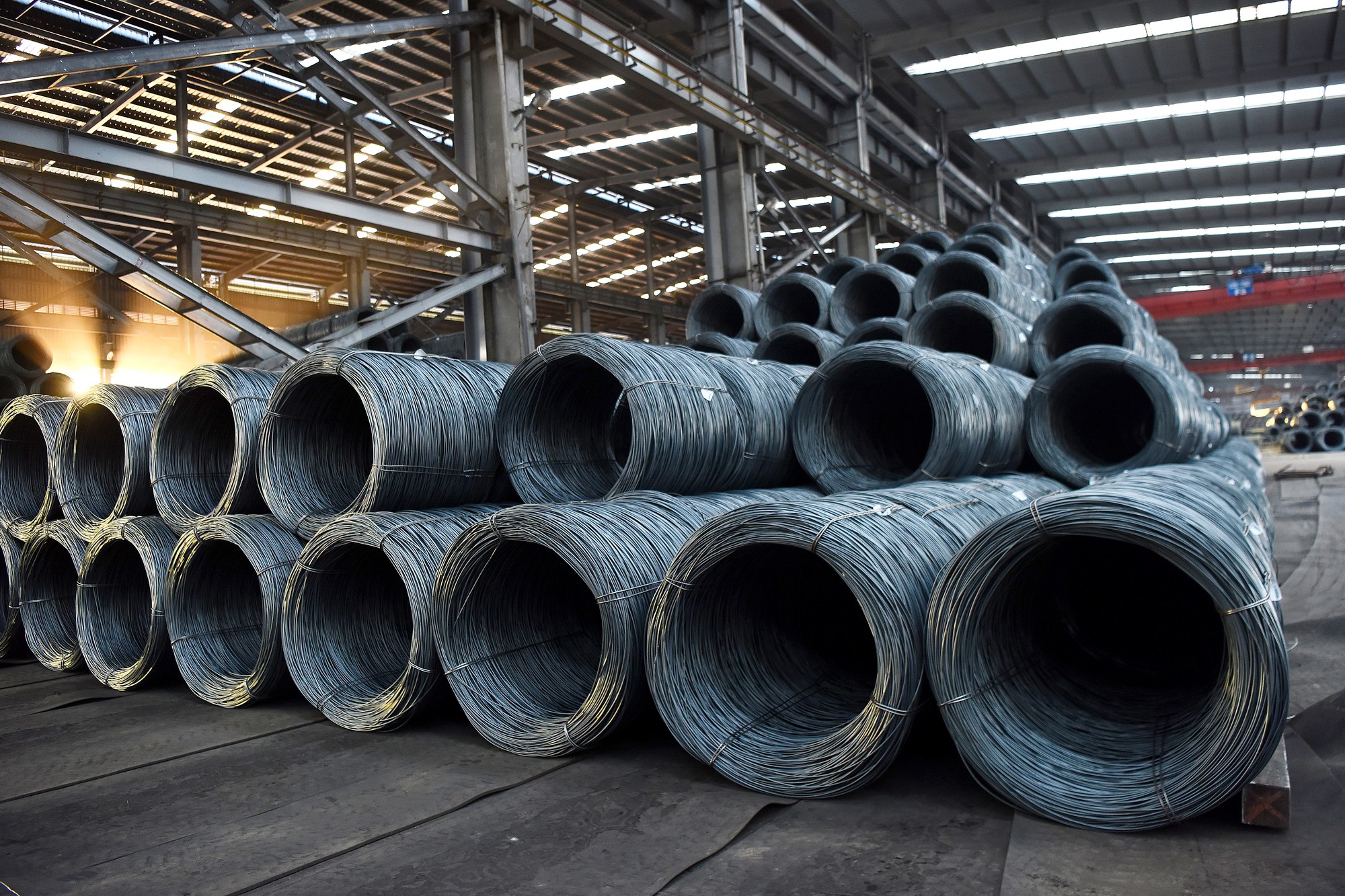 H&ograve;a Ph&aacute;t ho&agrave;n th&agrave;nh hơn 80% mục ti&ecirc;u lợi nhuận năm 2019 - Ảnh 1.