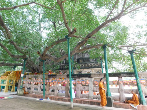 BODH GAYA, nơi muộn phiền bỏ lại