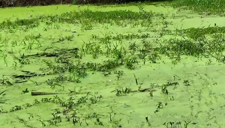 Cô gái 19 tuổi ở Hải Phòng bị 2 kẻ đã có vợ lập mưu hãm hại