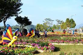 Festival hoa Đà Lạt 2019 có gì đặc biệt mà thu hút 300.000 lượt khách?