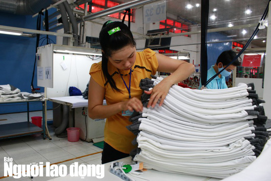 Tuổi thọ tăng, tăng tuổi hưu là xác đáng?