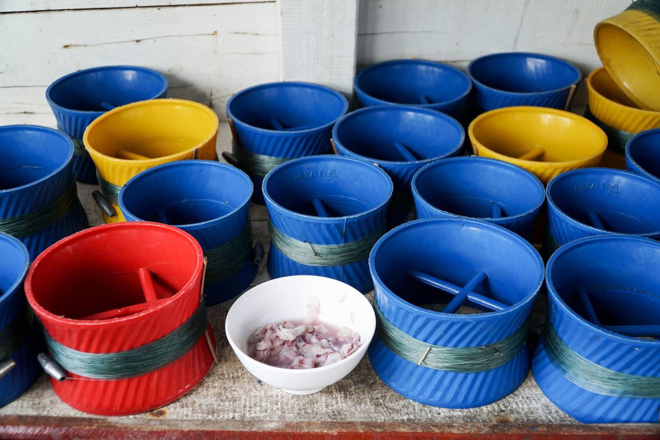 Câu cá, lặn biển ngắm san hô ở Phú Quốc - Ảnh 3.