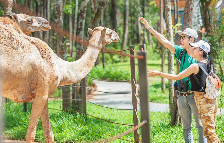 5 điểm check-in lãng mạn nhất tại nơi tổ chức đám cưới Đông Nhi - Ông Cao Thắng - Ảnh 10.