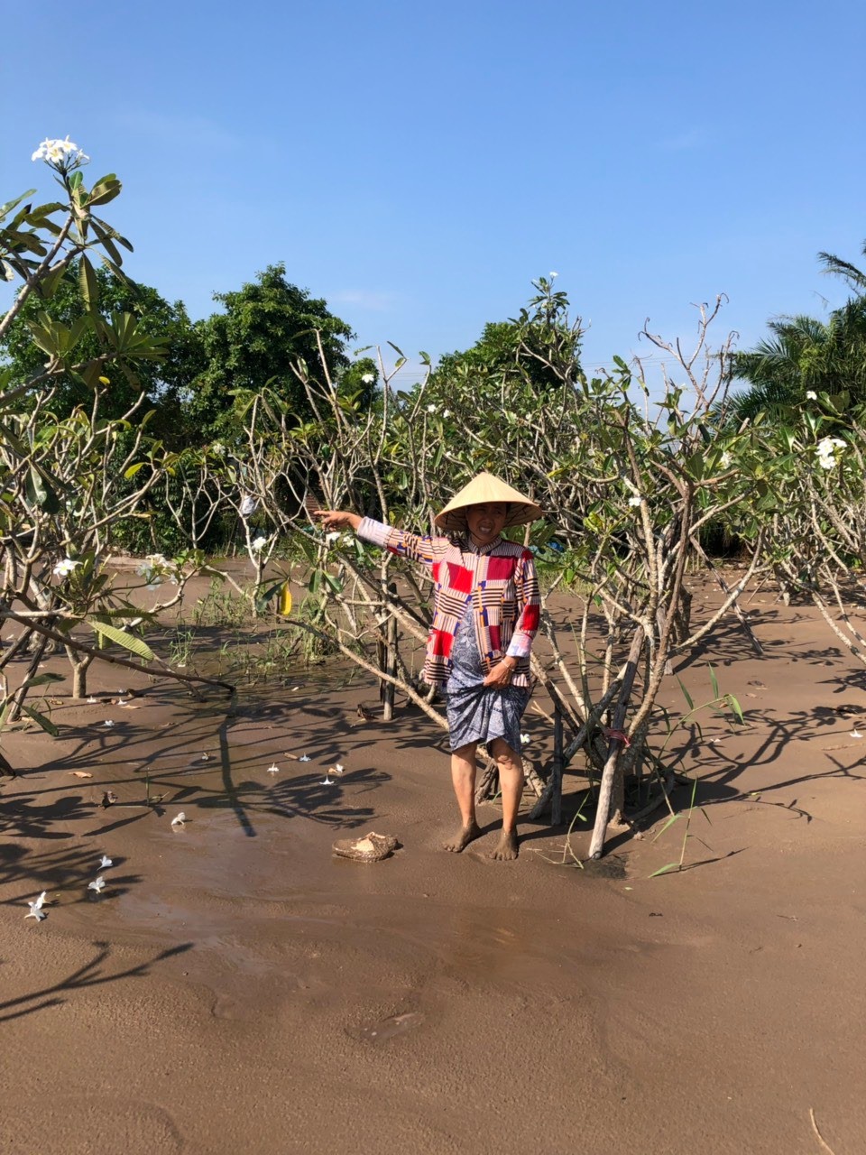 Phớt lờ lệnh của UBND tỉnh, doanh nghiệp ngang nhiên san lấp đất vườn của dân - Ảnh 1.