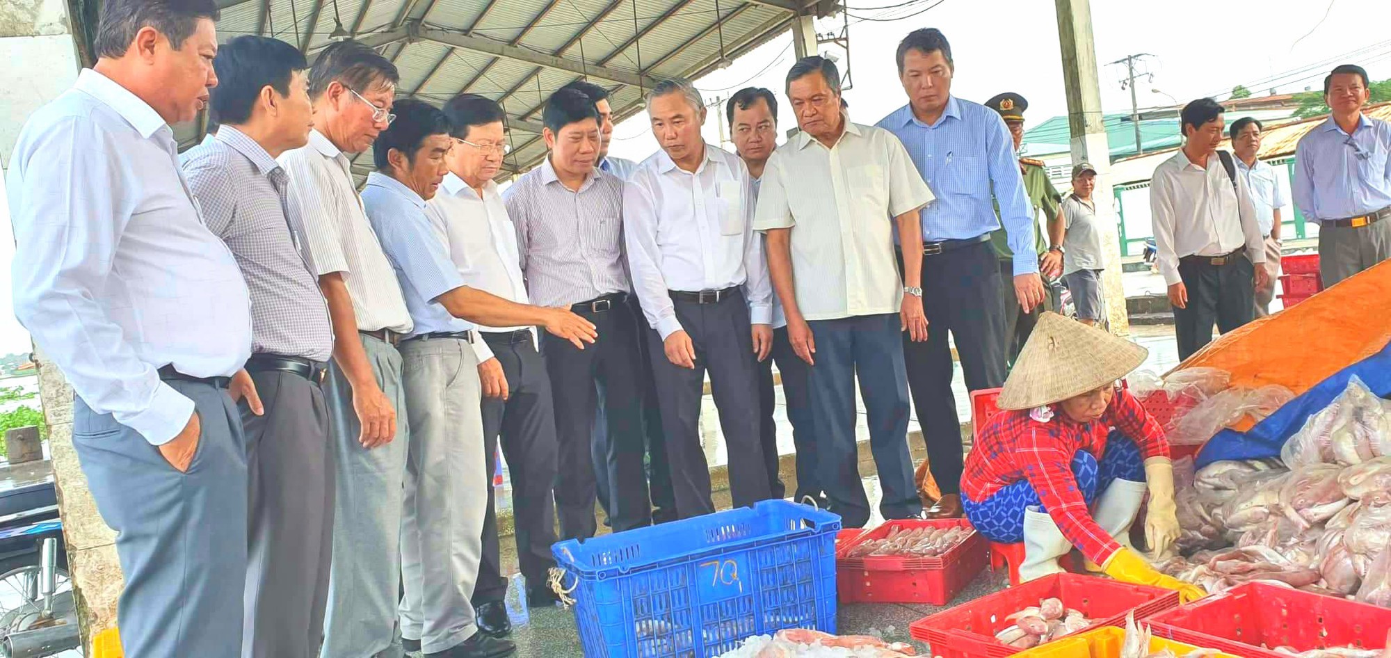 Nỗ lực gỡ "thẻ vàng" thủy sản: Doanh nghiệp Việt sẵn sàng đến đâu?