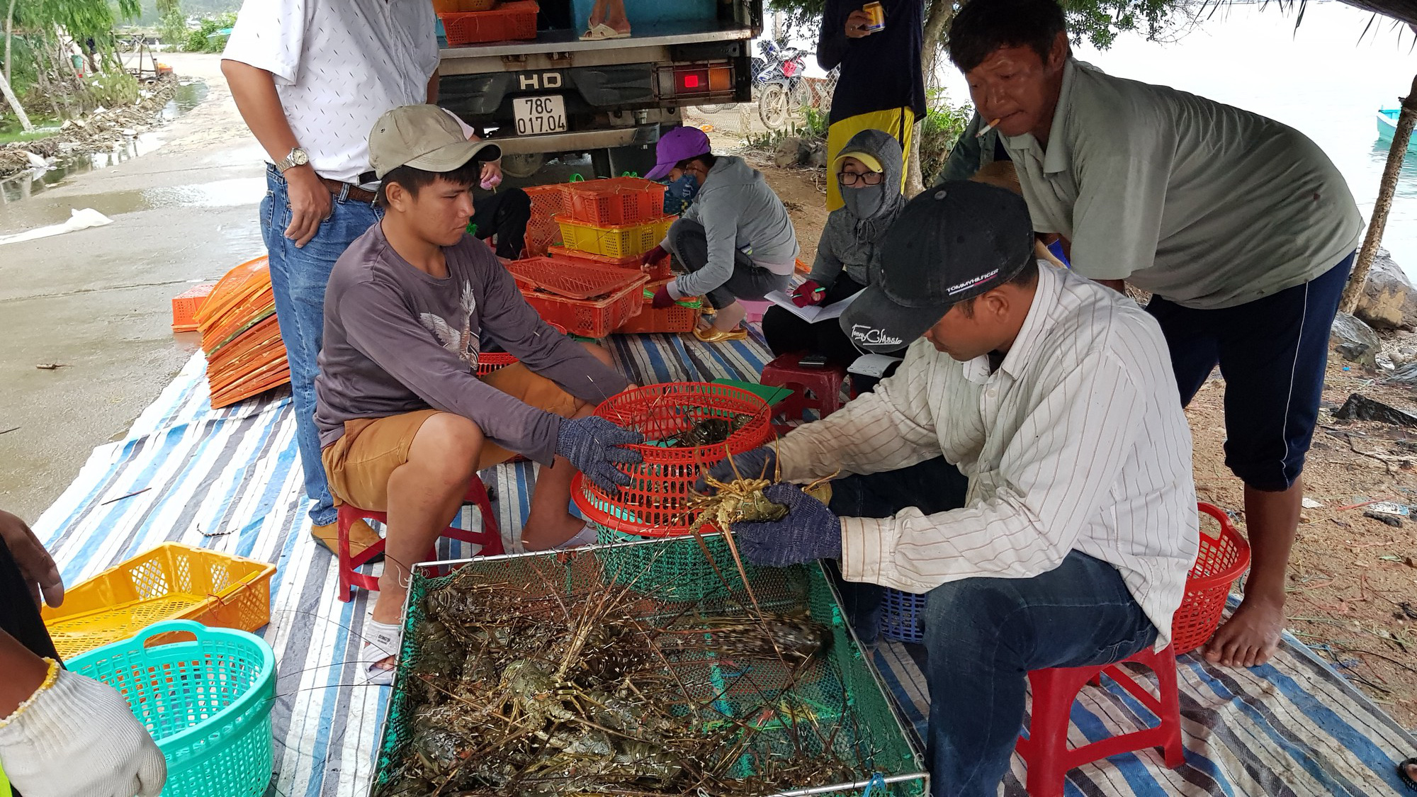 Phú yên chạy đua với bão số 5, vẫn còn hơn 1.000 người trên các lồng bè - Ảnh 3.