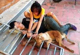Không để "tự xử" trộm chó