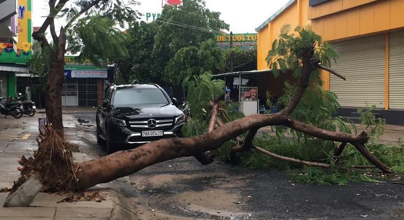 Phú Yên: Một người chết trong đêm bão - Ảnh 4.