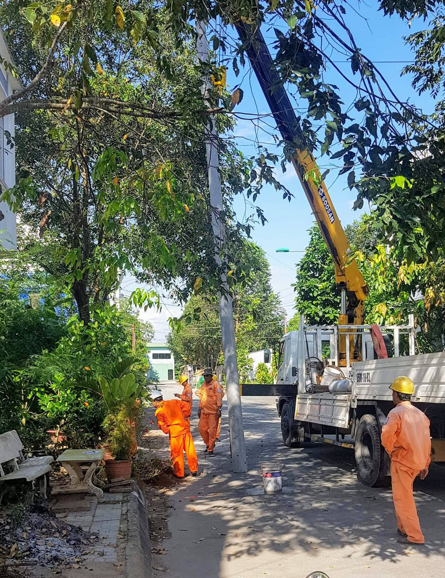 Xoá câu đuôi 116 hộ trong khu đại gia Diệu Hiền sau khi Báo Người Lao Động phản ánh - Ảnh 1.