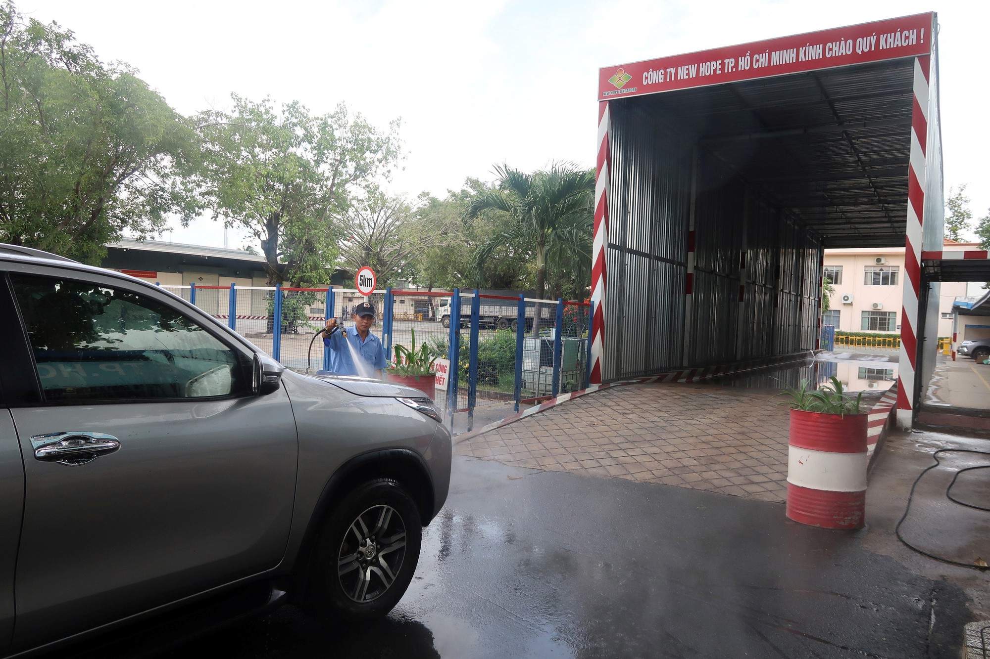Mối nguy to&agrave;n cầu từ dịch tả heo ch&acirc;u Phi - Ảnh 1.