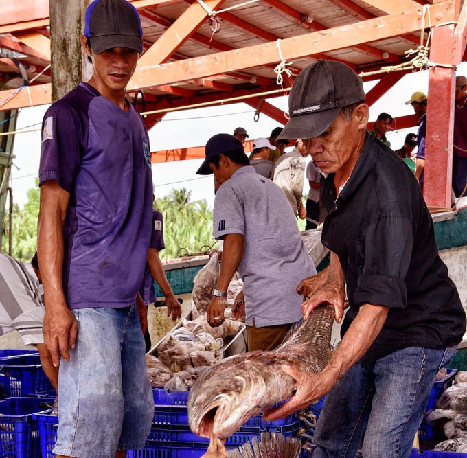 La liệt cá  ở Tắc Cậu lúc rạng sáng
