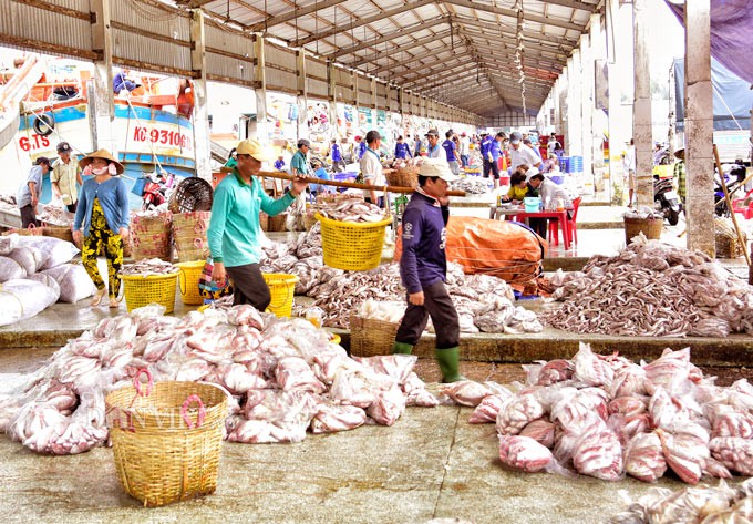 La liệt c&aacute;  ở Tắc Cậu l&uacute;c rạng s&aacute;ng - Ảnh 1.