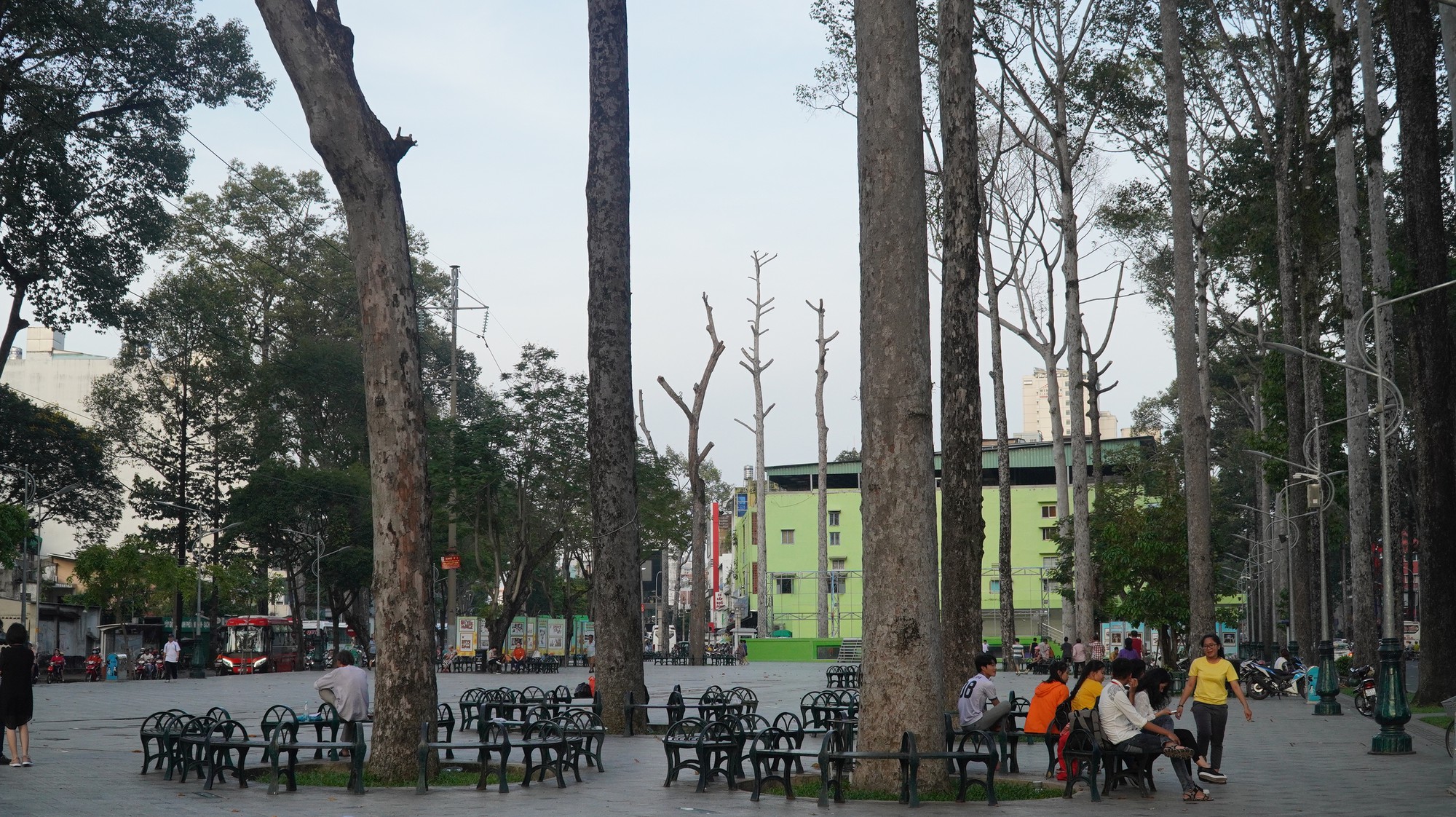 Ngỡ ngàng hình ảnh cả chục cổ thụ gục chết ở công viên Văn Lang
