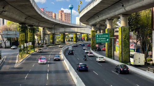 Lắng nghe người dân hiến kế: Dùng tường cây để bảo vệ môi trường
