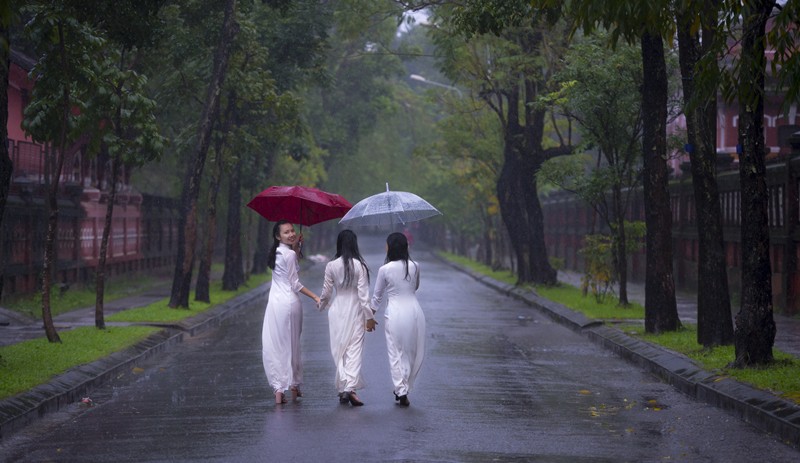 Khoảnh khắc mưa lãng mạn ở Huế - Ảnh 1.