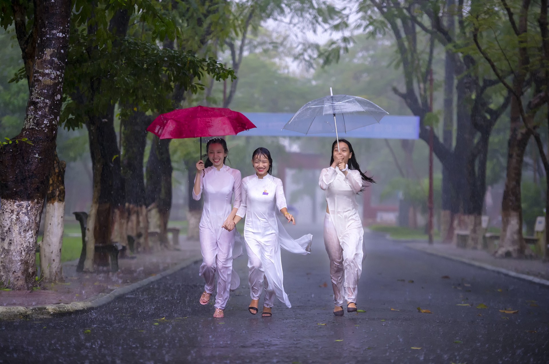 Khoảnh khắc mưa lãng mạn ở Huế - Ảnh 3.