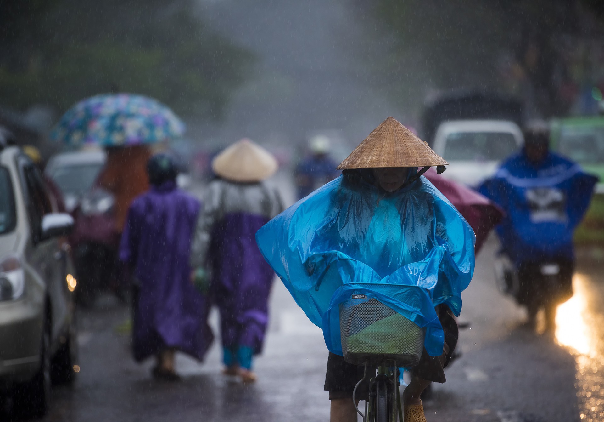 Khoảnh khắc mưa lãng mạn ở Huế - Ảnh 32.
