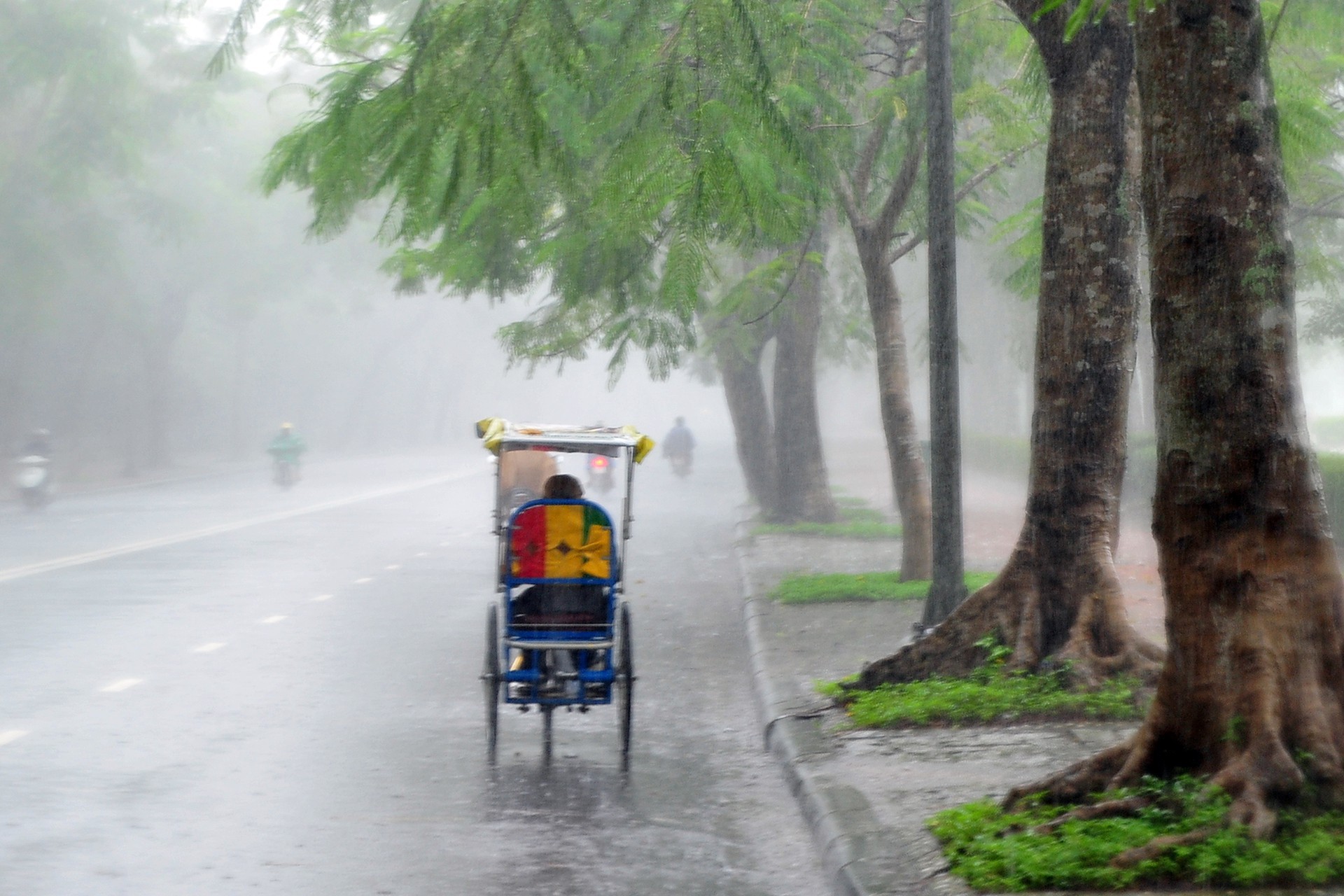 Khoảnh khắc mưa lãng mạn ở Huế - Ảnh 34.