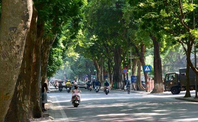 Những con đường rất xanh