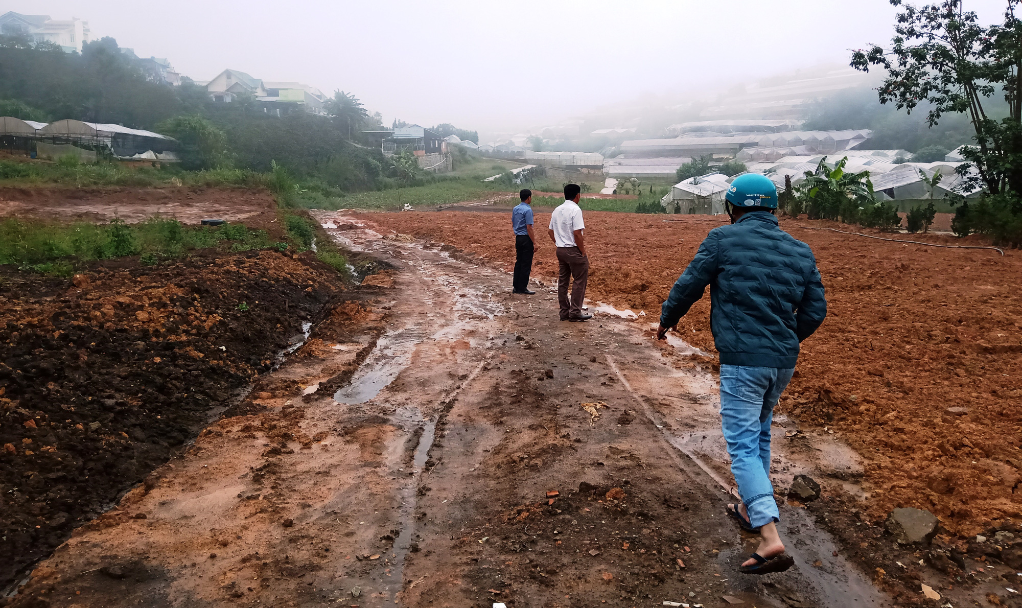 Xuất hiện tình trạng mua bán đất loạn xạ ở Đà Lạt