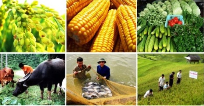 Ngân hàng đang bỏ lỡ cho vay theo chuỗi cung ứng?