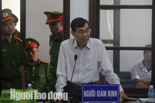 Một luật sư bào chữa cho vợ chồng ôngTrần Vũ Hải bị đưa ra khỏi tòa - Ảnh 5.