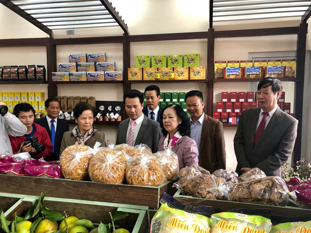 Bắt đầu lễ hội hoa tam giác mạch "Sắc hồng cao nguyên đá" Đồng Văn