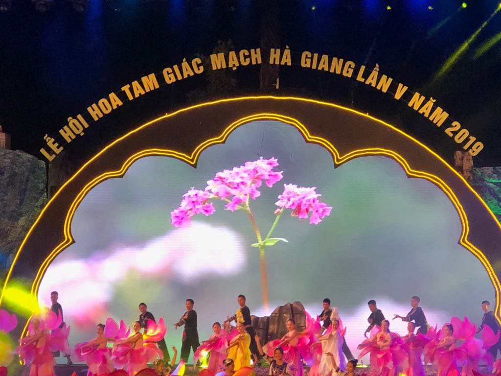 Bắt đầu lễ hội hoa tam gi&aacute;c mạch Sắc hồng cao nguy&ecirc;n đ&aacute; Đồng Văn - Ảnh 1.