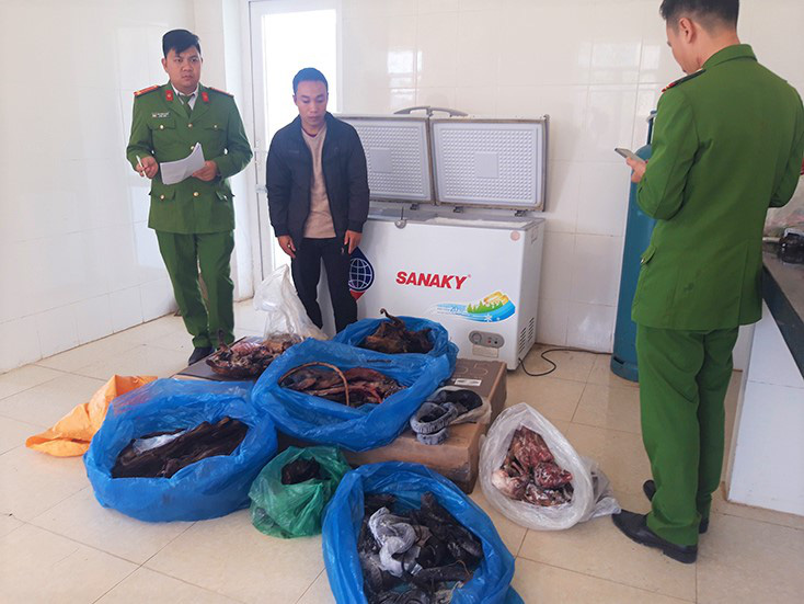Bắt pháo "lậu", phát hiện vô số động vật hoang dã quý hiếm "ém" trong nhà