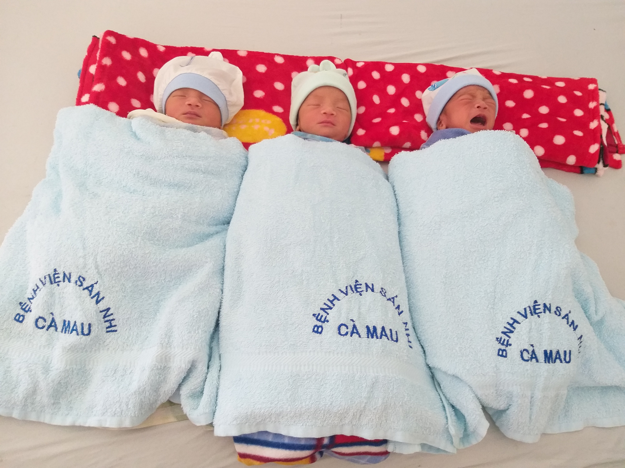 “Rụng tim” với 3 bé trai sinh 3 kháu khỉnh ở Cà Mau