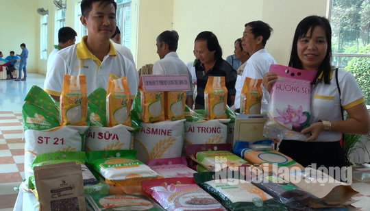 Gạo ST 24 đoạt giải nhất hội thi gạo ngon Đồng Th&aacute;p 2019 - Ảnh 1.